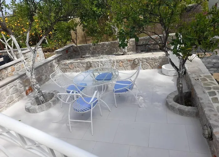 Thin Alos 1 نيا إيبيدافروس